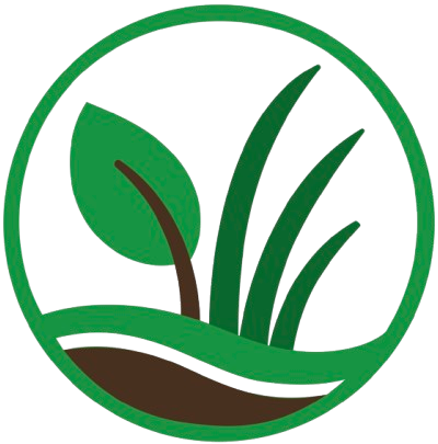Tree Removal - BLS Pro Landscaping Services