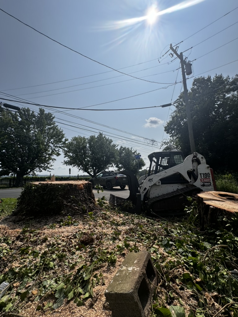 Stump Removal - BLS Pro Landscaping Services