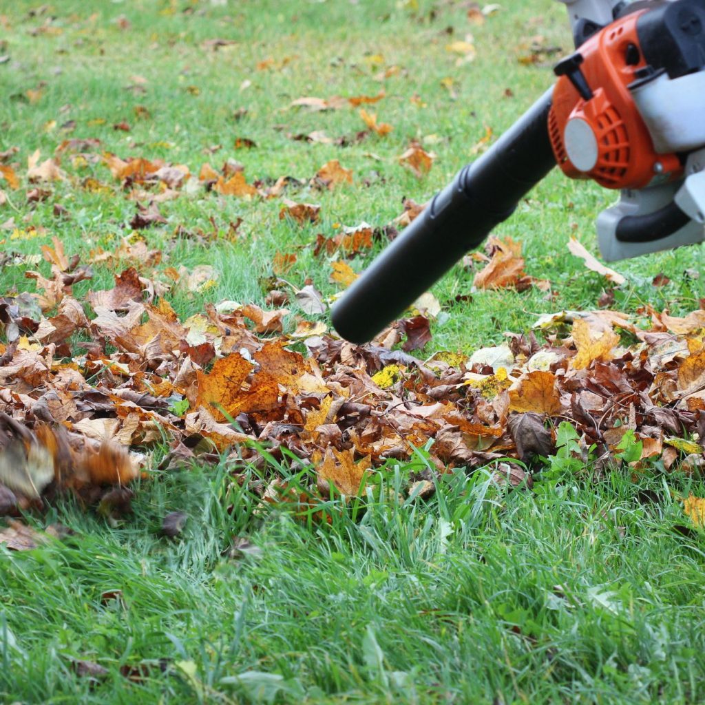 Leaf/Debris Removal - BLS Pro Landscaping Services